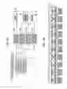 Fig. 07 - IMAGE PROCESSING DEVICE, IMAGE PROCESSING METHOD, AND IMAGE FORMING APPARATUS