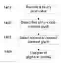 Fig. 01 - Visual cryptography and voting technology