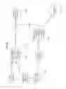 Fig. 07 - Visual cryptography and voting technology