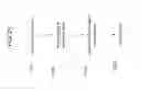 Fig. 22 - Visual cryptography and voting technology