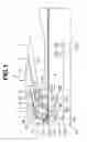 Fig. 02 - Image reading apparatus and image forming apparatus