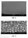 Fig. 05 - Cathode for use in a wet capacitor