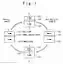 Fig. 02 - Magnetic memory cell, magnetic random access memory, and data read/write method for magnetic random access memory