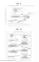 Fig. 09 - NETWORK APPARATUS, EDGE ROUTER, AND PACKET COMMUNICATION SYSTEM