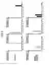 Fig. 05 - Image identification method and imaging apparatus