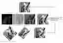 Fig. 01 - Complexity regularized pattern representation, search, and compression
