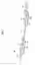 Fig. 02 - Waveguide film cable