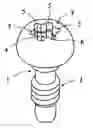 Fig. 01 - Screw member