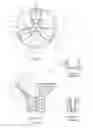 Fig. 02 -  Fastener and Driving Tool