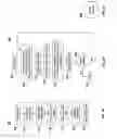 Fig. 06 - System for autonomously dispensing media on large scale surfaces