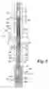 Fig. 06 - DOWNHOLE PUMPING SYSTEM