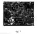Fig. 02 - Method for preparation of new superhard B-C-N material and material made therefrom