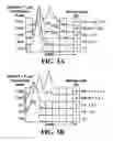 Fig. 08 - T cell activation