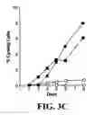 Fig. 09 - T cell activation