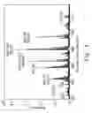 Fig. 02 - NOVEL STRAIN OF BACILLUS AMYLOLIQUEFACIENS AND ITS USE