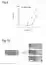 Fig. 07 - Complement inhibition for improved nerve regeneration