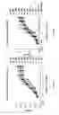 Fig. 07 - HUMANIZED ANTI-RAGE ANTIBODY
