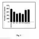 Fig. 06 - INTRABODIES