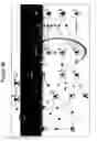 Fig. 49 - INTERFERON ALPHA-INDUCED PHARMACODYNAMIC MARKERS