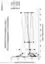 Fig. 06 - METHODS OF TREATING SYSTEMIC LUPUS ERYTHEMATOSUS