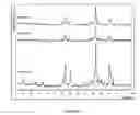 Fig. 02 - Tricalcium phosphate coarse particle compositions and methods for making the same