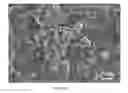 Fig. 09 - Tricalcium phosphate coarse particle compositions and methods for making the same
