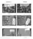 Fig. 02 - PLANT WASH