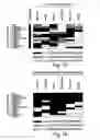 Fig. 02 - METHODS AND PRODUCTS FOR DIAGNOSING CANCER