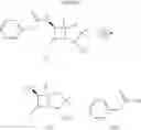 Fig. 02 - Penicillin-G acylases