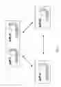 Fig. 02 - Method of Making Cyclic Polypeptides with Inteins