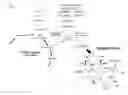 Fig. 02 - PROCESS OF INCREASING CELLULAR PRODUCTION OF BIOLOGICALLY ACTIVE COMPOUNDS