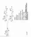 Fig. 07 - SYNTHESIS OF NOVEL XYLOSIDES AND POTENTIAL USES THEREOF