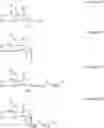 Fig. 232 - SYNTHESIS OF NOVEL XYLOSIDES AND POTENTIAL USES THEREOF