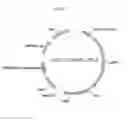 Fig. 07 - METHOD FOR PREPARING BUTANOL THROUGH BUTYRYL-COA AS AN INTERMEDIATE USING YEAST
