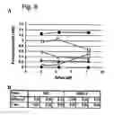 Fig. 09 - strain BG1