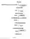 Fig. 04 - ENGINEERED MICROORGANISMS CAPABLE OF PRODUCING TARGET COMPOUNDS UNDER ANAEROBIC CONDITIONS