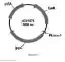 Fig. 32 - ENGINEERED MICROORGANISMS CAPABLE OF PRODUCING TARGET COMPOUNDS UNDER ANAEROBIC CONDITIONS