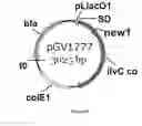 Fig. 47 - ENGINEERED MICROORGANISMS CAPABLE OF PRODUCING TARGET COMPOUNDS UNDER ANAEROBIC CONDITIONS