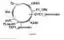 Fig. 48 - ENGINEERED MICROORGANISMS CAPABLE OF PRODUCING TARGET COMPOUNDS UNDER ANAEROBIC CONDITIONS