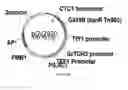 Fig. 53 - ENGINEERED MICROORGANISMS CAPABLE OF PRODUCING TARGET COMPOUNDS UNDER ANAEROBIC CONDITIONS