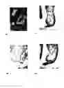 Fig. 02 - Antibody to placental protein having a regulating action on proteolytic activity