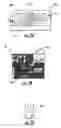 Fig. 03 - MULTIPLEX ASSAY READER SYSTEM