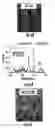 Fig. 05 - MULTIPLEX ASSAY READER SYSTEM