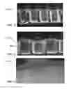 Fig. 06 - METHOD AND APPARATUS TO TRANSFER COAT UNEVEN SURFACE