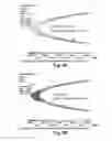 Fig. 07 - HIGH TORQUE DENSITY FLEXIBLE COMPOSITE DRIVESHAFT