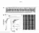 Fig. 07 - Parallel fabrication of nanogaps and devices thereof
