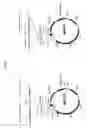 Fig. 02 - VECTOR SYSTEMS