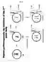 Fig. 02 - PARTHENOTE-DERIVED STEM CELLS AND METHODS OF MAKING AND USING THEM