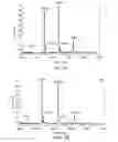 Fig. 14 - Methods and products related to the improved analysis of carbohydrates