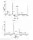 Fig. 15 - Methods and products related to the improved analysis of carbohydrates